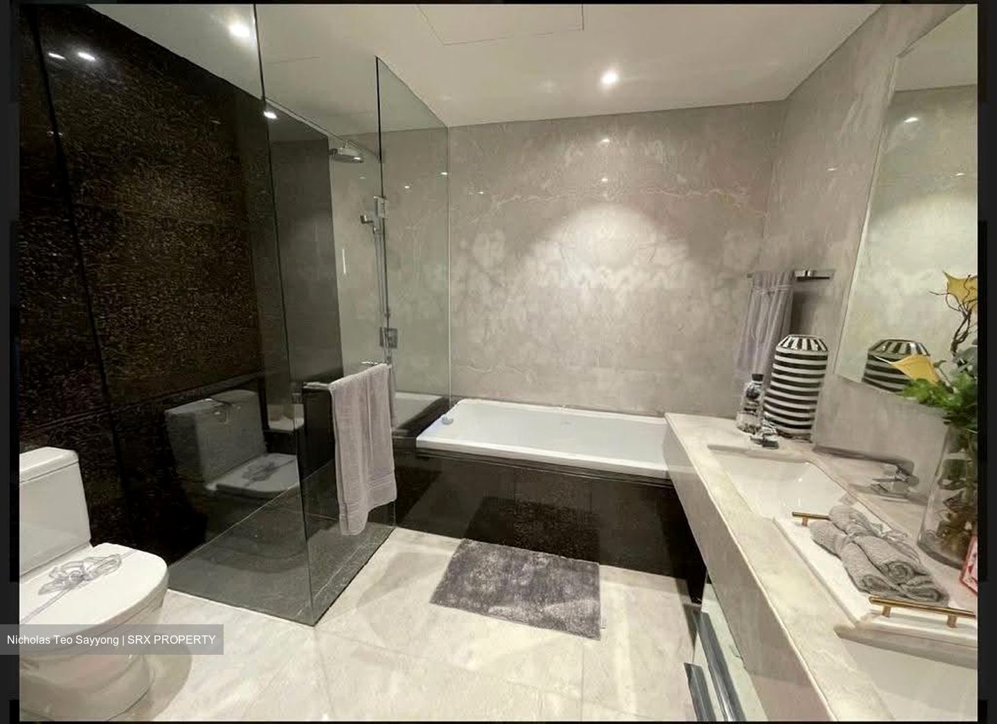 St. Regis Residences (D10), Apartment #565918231